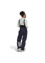 Adidas Terrex 3Layer Gore-Tex Snow Pants Womens