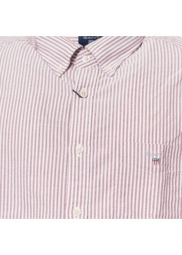 GANT - 3046502 rododendron