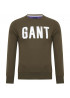 GANT Grafic C-Neck 2046053 Cuctus